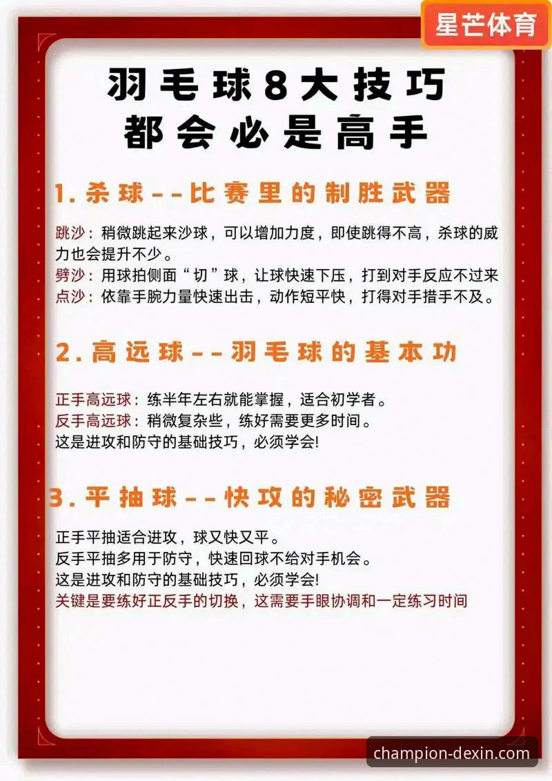 德信体育平台实用指南：从新手到高手的必备知识与技巧
