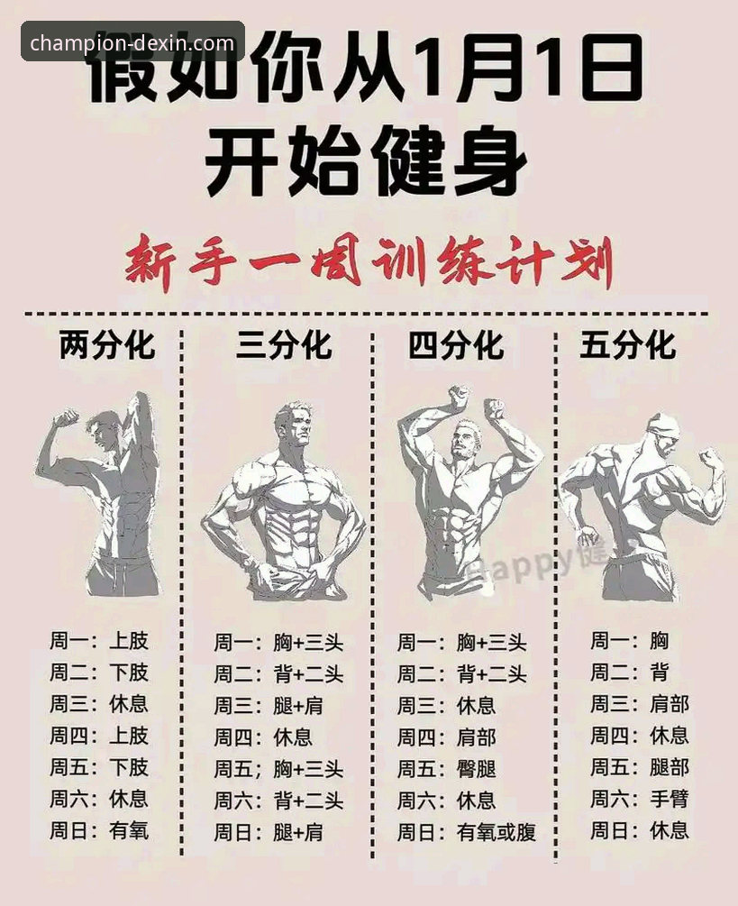 德信体育平台最新动态：如何通过APP下载开启你的冠军之路训练计划