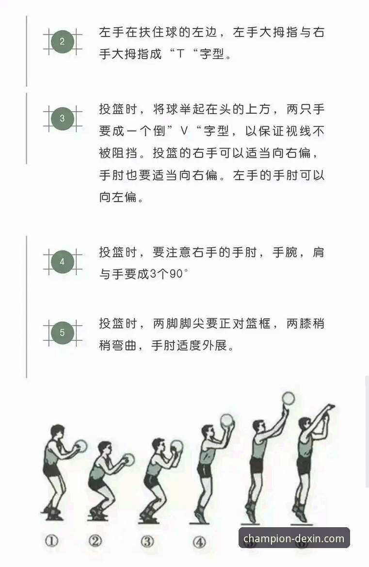 德信体育官网入口 德信体育平台实用指南:从新手到高手的必备知识与技巧