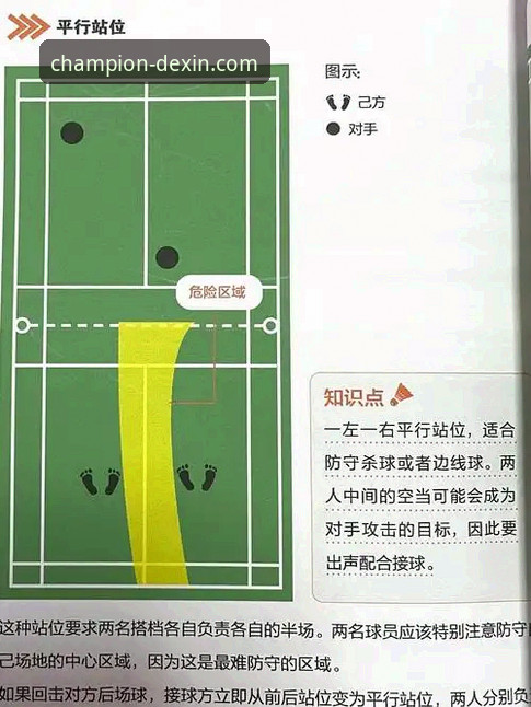 德信体育新手入门详解：从零开始的冠军之路